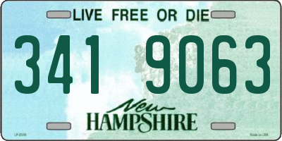 NH license plate 3419063