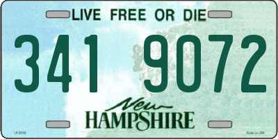 NH license plate 3419072