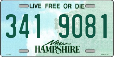NH license plate 3419081