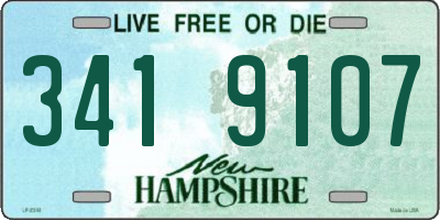 NH license plate 3419107