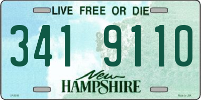 NH license plate 3419110