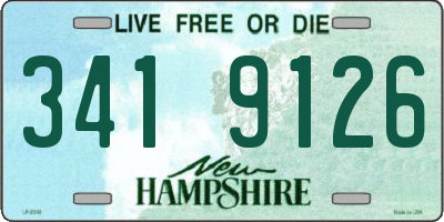 NH license plate 3419126