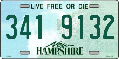 NH license plate 3419132