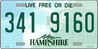NH license plate 3419160