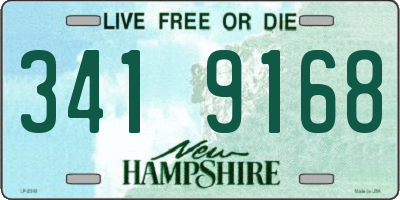 NH license plate 3419168