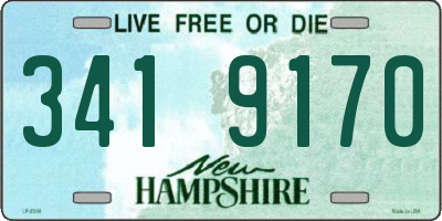 NH license plate 3419170