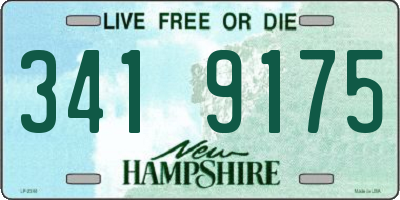 NH license plate 3419175