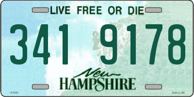 NH license plate 3419178