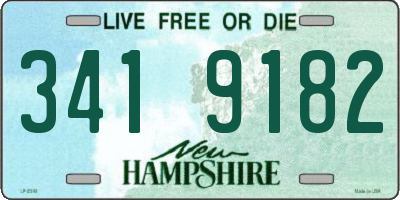 NH license plate 3419182