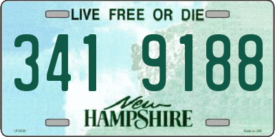 NH license plate 3419188