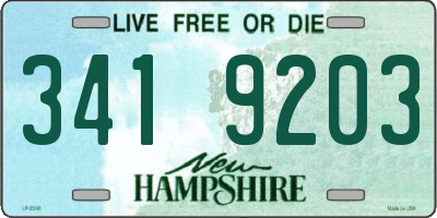 NH license plate 3419203