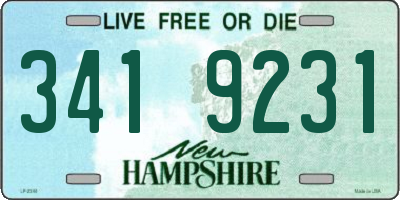 NH license plate 3419231