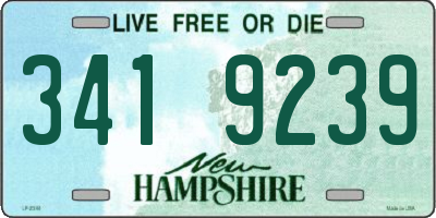 NH license plate 3419239
