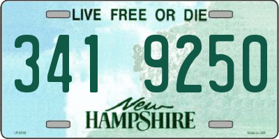 NH license plate 3419250