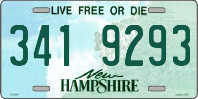 NH license plate 3419293