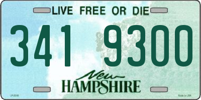 NH license plate 3419300