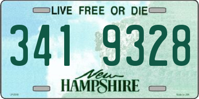 NH license plate 3419328