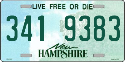NH license plate 3419383