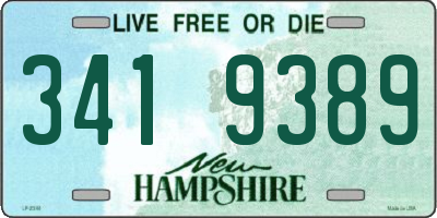 NH license plate 3419389