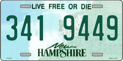 NH license plate 3419449