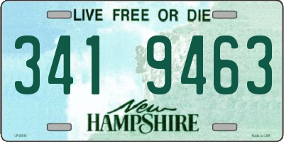NH license plate 3419463