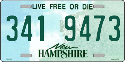 NH license plate 3419473