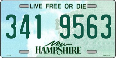 NH license plate 3419563
