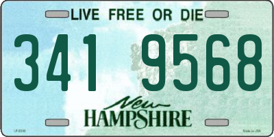 NH license plate 3419568