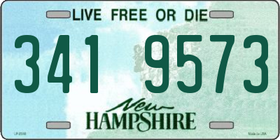 NH license plate 3419573