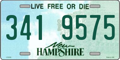 NH license plate 3419575
