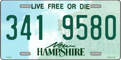 NH license plate 3419580