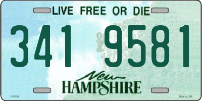 NH license plate 3419581