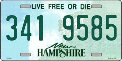 NH license plate 3419585