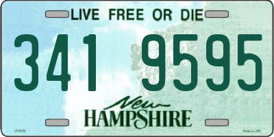 NH license plate 3419595