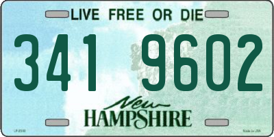 NH license plate 3419602