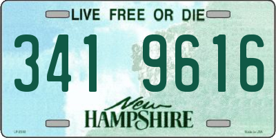 NH license plate 3419616