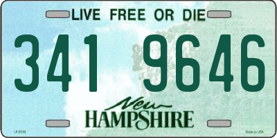 NH license plate 3419646