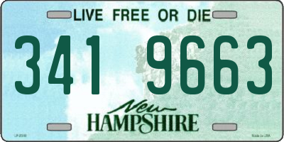 NH license plate 3419663