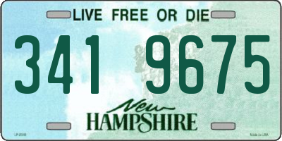 NH license plate 3419675