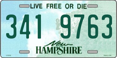 NH license plate 3419763
