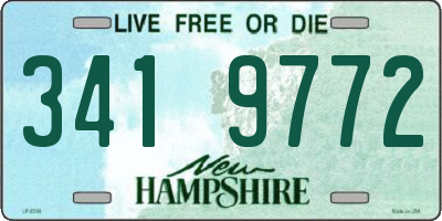 NH license plate 3419772