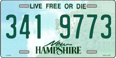 NH license plate 3419773