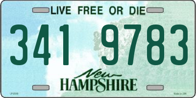 NH license plate 3419783