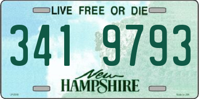 NH license plate 3419793