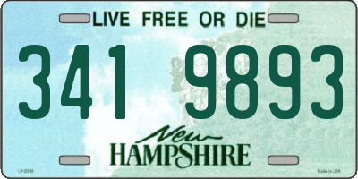 NH license plate 3419893