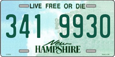 NH license plate 3419930