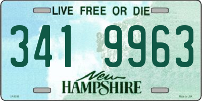 NH license plate 3419963