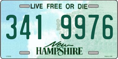 NH license plate 3419976