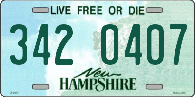 NH license plate 3420407