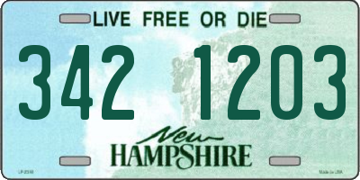 NH license plate 3421203